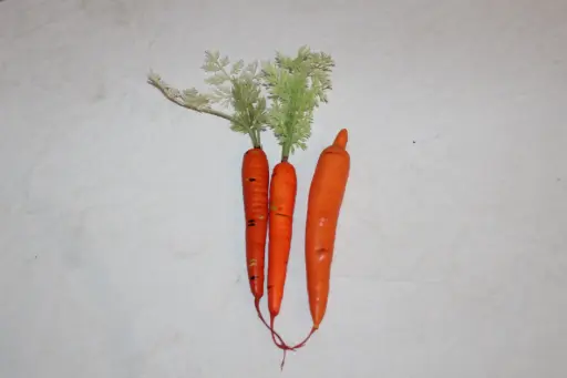 [PKF-160] Carrots